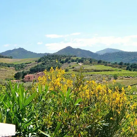 Soleil Marin - 4mar631 Collioure